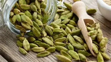 خواص هل برای لاغری + گزینه‌ای عالی برای چربی‌سوزی!