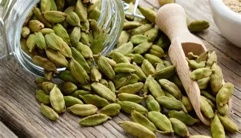 خواص هل برای لاغری + گزینه‌ای عالی برای چربی‌سوزی!