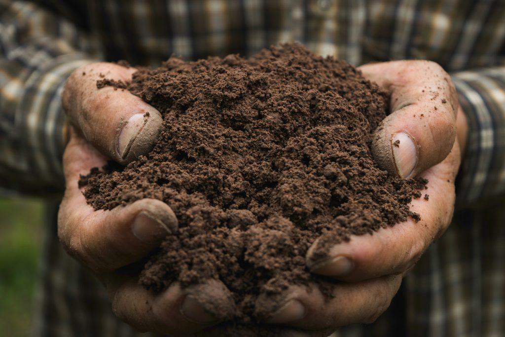 تعبیر خواب خاک 🌱 (کامل و رایگان | از نظر معبران و موضوعات مختلف)