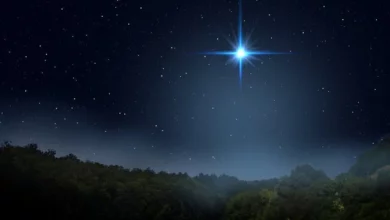 تعبیر خواب ستاره ⭐ (کامل و رایگان | از نظر معبران و موضوعات مختلف)
