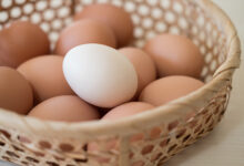 تعبیر خواب تخم مرغ 🥚 (کامل و رایگان | از نظر معبران و موضوعات مختلف)