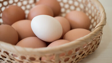 تعبیر خواب تخم مرغ 🥚 (کامل و رایگان | از نظر معبران و موضوعات مختلف)
