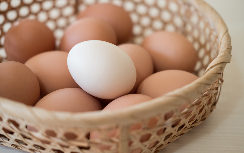 تعبیر خواب تخم مرغ 🥚 (کامل و رایگان | از نظر معبران و موضوعات مختلف)