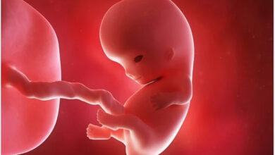 تعبیر خواب جنین 👶 (کامل و رایگان | از نظر معبران و موضوعات مختلف)