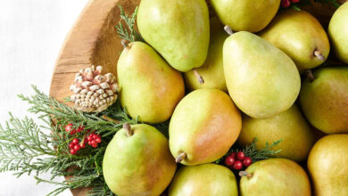 تعبیر خواب گلابی 🍐 (کامل و رایگان | از نظر معبران و موضوعات مختلف)