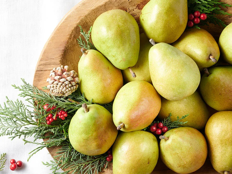 تعبیر خواب گلابی 🍐 (کامل و رایگان | از نظر معبران و موضوعات مختلف)