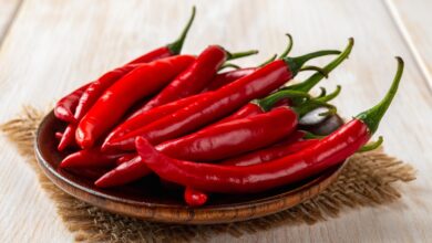 تعبیر خواب فلفل 🌶️ (کامل و رایگان | از نظر معبران و موضوعات مختلف)