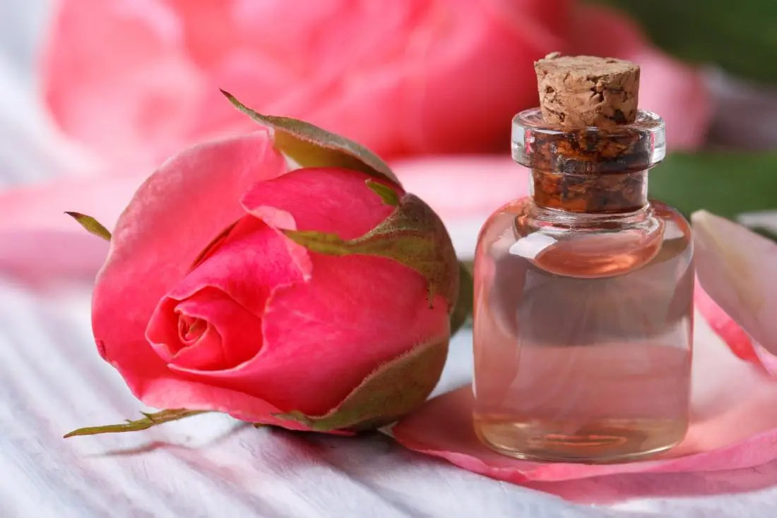 فواید گلاب برای پر شدن صورت: روش‌های استفاده و عوارض محتمل