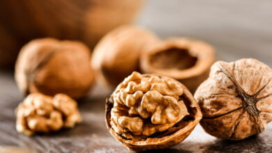 تعبیر خواب گردو 🌰 (کامل و رایگان | از نظر معبران و موضوعات مختلف)