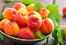 تعبیر خواب زردآلو 🍑 (کامل و رایگان | از نظر معبران و موضوعات مختلف)