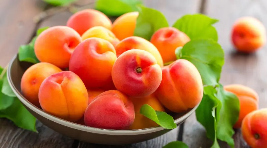 تعبیر خواب زردآلو 🍑 (کامل و رایگان | از نظر معبران و موضوعات مختلف)