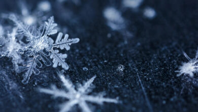 تعبیر خواب برف ❄️ (کامل و رایگان | از نظر معبران و موضوعات مختلف)