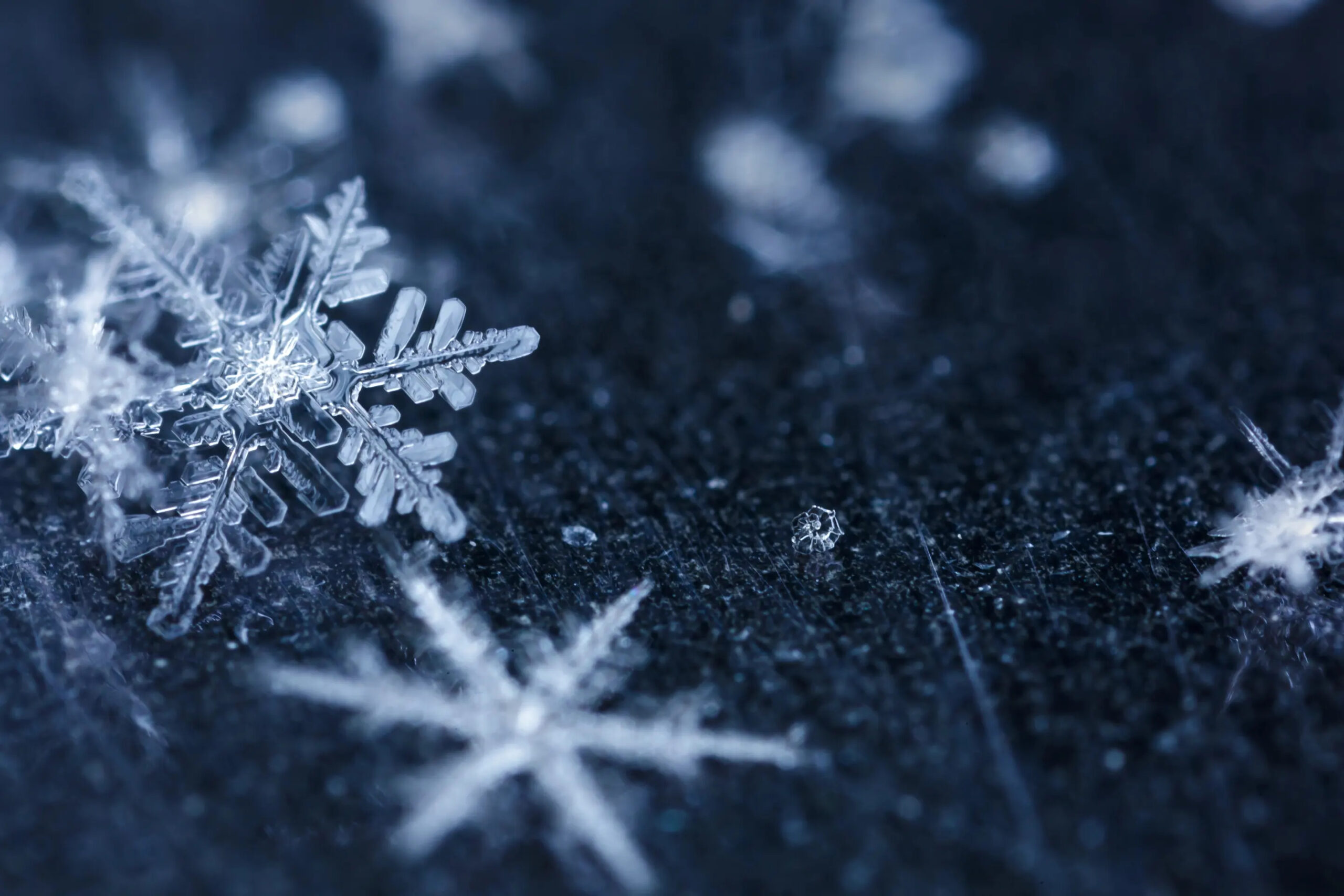 تعبیر خواب برف ❄️ (کامل و رایگان | از نظر معبران و موضوعات مختلف) تعبیر خواب برف ❄️ (کامل و رایگان | از نظر معبران و موضوعات مختلف)