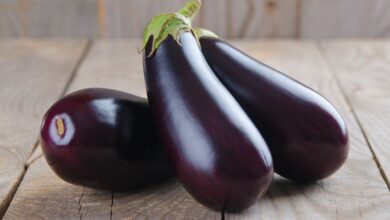 تعبیر خواب بادمجان 🍆 (کامل و رایگان | از نظر معبران و موضوعات مختلف)