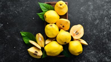 تعبیر خواب به 🍋 (کامل و رایگان | از نظر معبران و موضوعات مختلف)