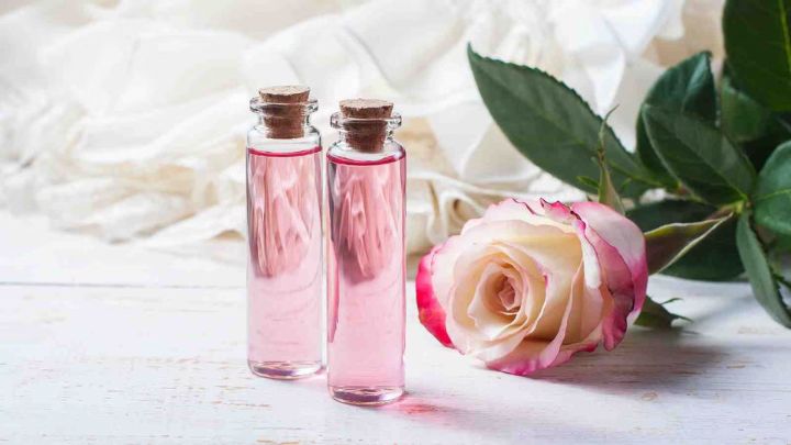 خواص و مضرات گل سرخ؛ تاثیرات شگفت‌انگیز آن بر سلامتی