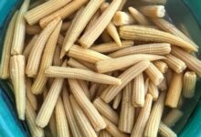 دستور تهیه ترشی بچه بلال یا ترشی بیبی کورن با ۳ روش (مرحله به مرحله)