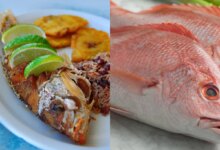 دستور تهیه ماهی سرخو با چند دستور تهیه عالی (مرحله به مرحله)