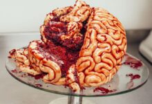 دستور تهیه کامل تزیین کیک مناسب جشن هالووین (مرحله به مرحله)