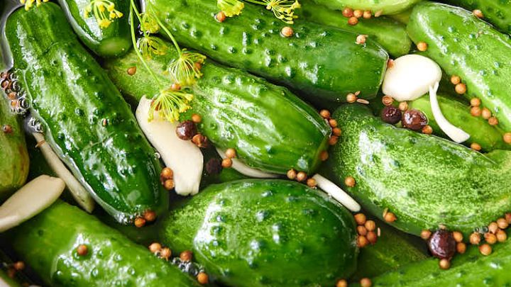 رسپی خیارشور دبه‌ای ترد و خوشمزه؛ ۵ و ۱۰ کیلویی