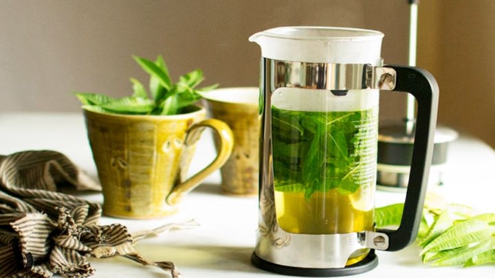 رسپی دمنوش پونه و به لیمو + بهترین زمان مصرف رسپی دمنوش پونه و به لیمو + بهترین زمان مصرف