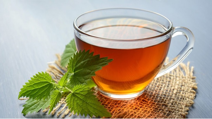 رسپی دمنوش گزنه و زنجبیل + زمان مصرف رسپی دمنوش گزنه و زنجبیل + زمان مصرف