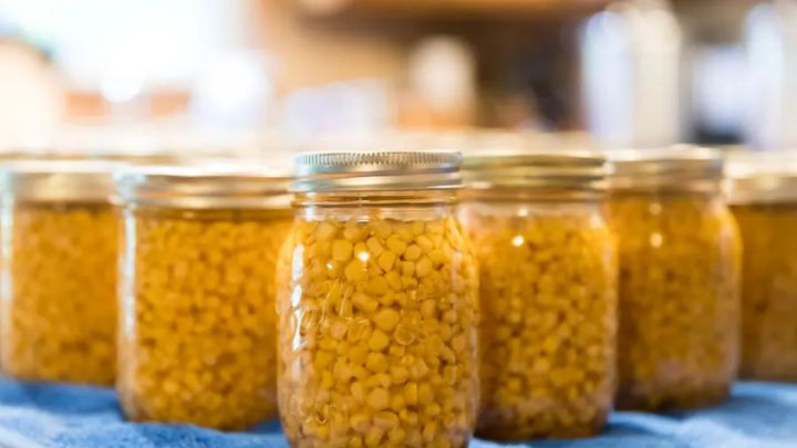 رسپی کنسرو ذرت خانگی؛ برای تمام فصول سال رسپی کنسرو ذرت خانگی؛ برای تمام فصول سال