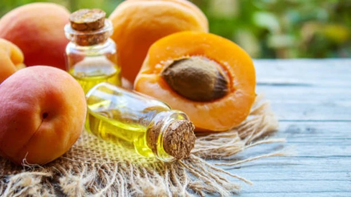 روش گرفتن روغن هسته زردآلو و موارد استفاده آن روش گرفتن روغن هسته زردآلو و موارد استفاده آن