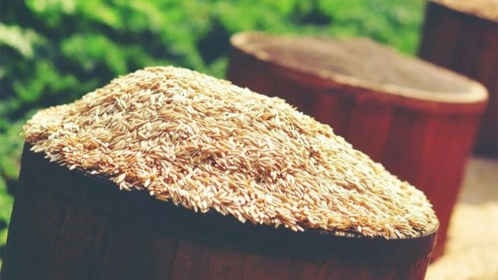 سبوس برنج قهوه‌ای چه فوایدی برای بدن دارد؟
