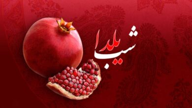 شب یلدا چی بپزیم؟ دستور تهیه خوشمزه ترین و راحت ترین شام شب یلدا (مرحله به مرحله)