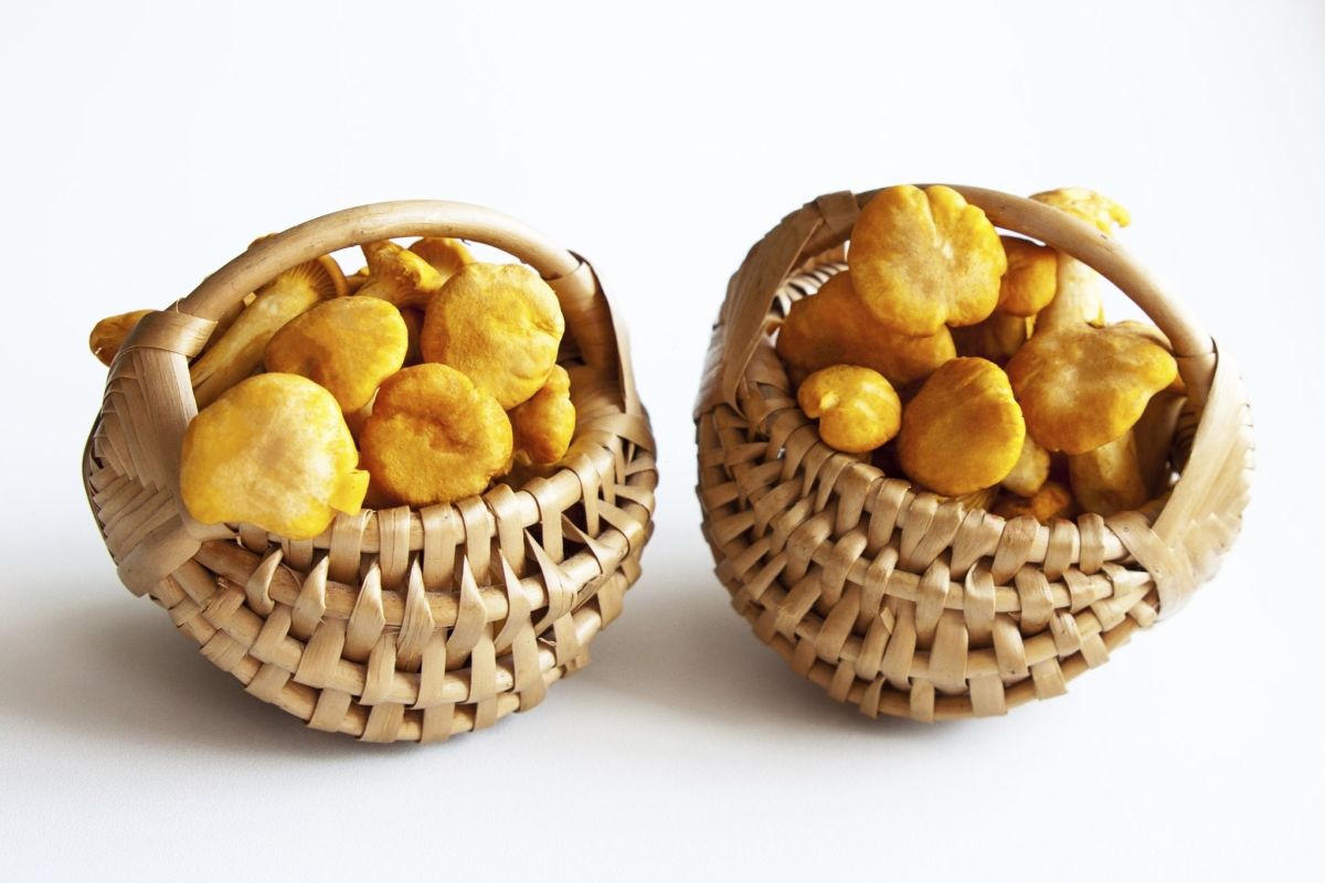 دستور تهیه جوز قندی خوشمزه و طعم دار (مرحله به مرحله) دستور تهیه جوز قندی خوشمزه و طعم دار (مرحله به مرحله)