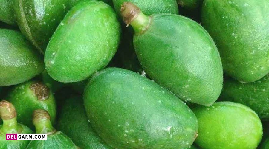 دستور تهیه خورش چغاله بادام جا افتاده و مجلسی در خانه (مرحله به مرحله)