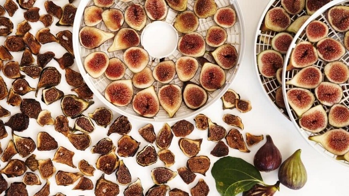 طرز خشک کردن انجیر با دستگاه خشک کن؛ سالم و مقوی