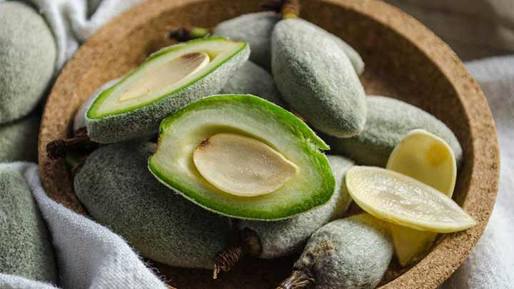 فواید و مضرات خوردن چغاله بادام برای بدن