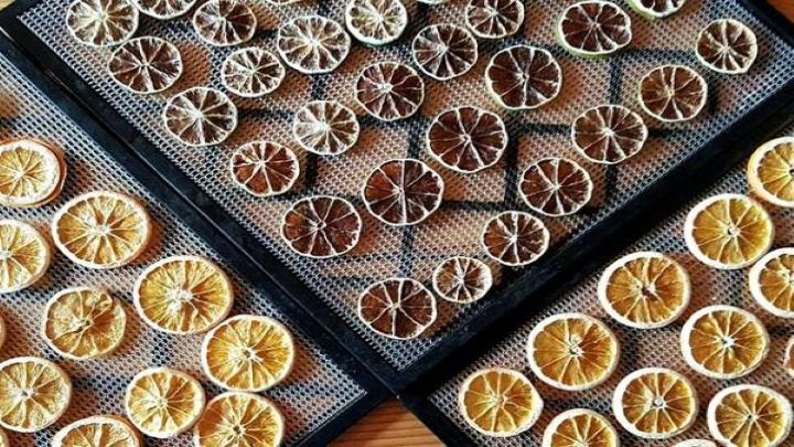 لیمو نباتی؛ شکلی نو از لذت‌های شیرین