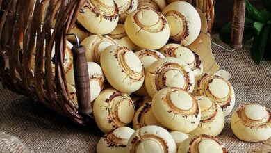 مواد لازم و آموزش شیرینی قارچی خانگی (مرحله به مرحله)