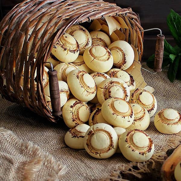 مواد لازم و آموزش شیرینی قارچی خانگی (مرحله به مرحله)