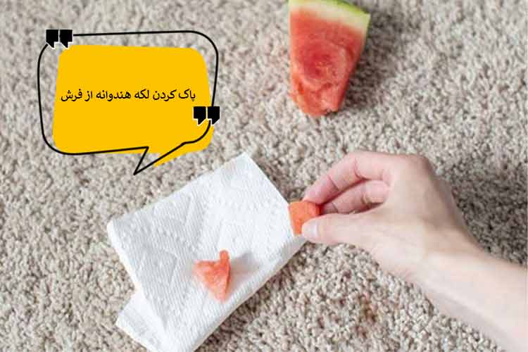 نکات پاک کردن لکه هندوانه از روی فرش