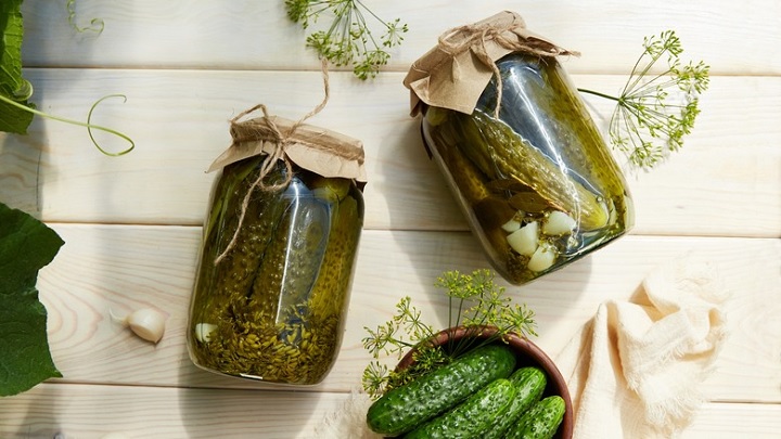چگونه خیار شور را تازه نگه داریم؟؛ ۱۳ روش + نکات مهم چگونه خیار شور را تازه نگه داریم؟؛ ۱۳ روش + نکات مهم