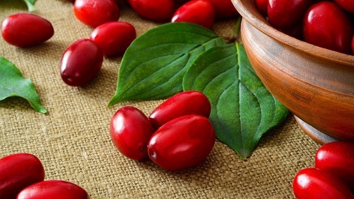 چگونه زغال اخته را خشک کنیم؟ چگونه زغال اخته را خشک کنیم؟
