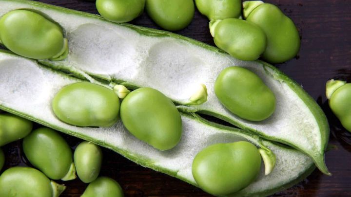 ۱۰ خواص عجیب و چشمگیر باقلا سبز برای سلامتی