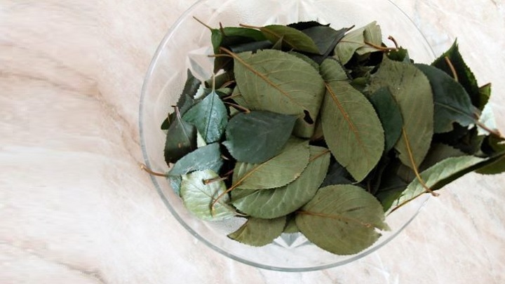۱۴ خواص برگ گیلاس و موارد استفاده آن که نمی‌دانید