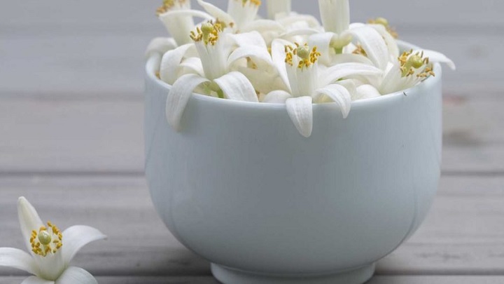 ۲ ترفند ساده برای گرفتن تلخی بهار نارنج ۲ ترفند ساده برای گرفتن تلخی بهار نارنج