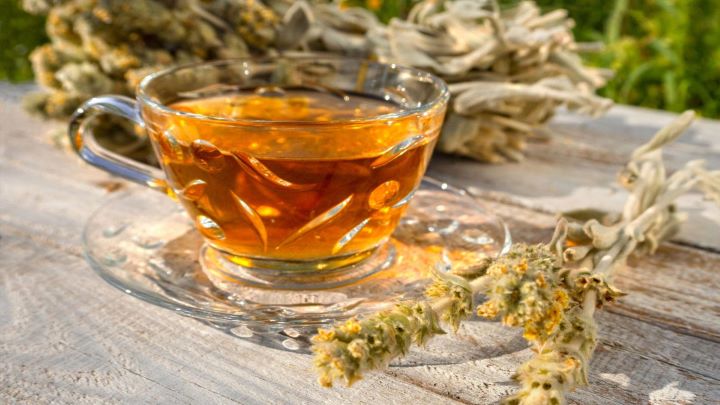 ۲ رسپی چای کوهی با برگ خشک و تازه + بهترین زمان مصرف