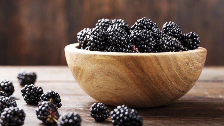 ۸ خاصیت شگفت انگیز توت سیاه ۸ خاصیت شگفت انگیز توت سیاه