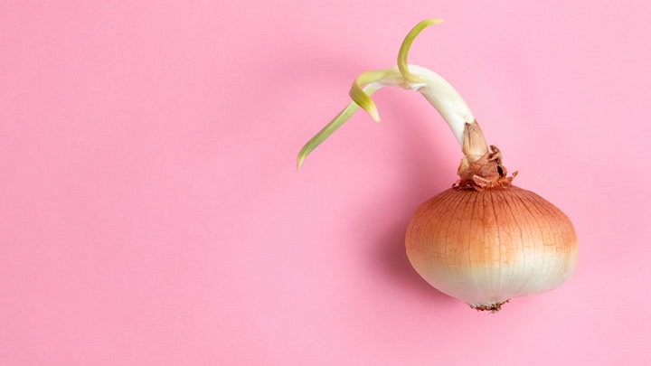 ۹ ترفند ساده و کاربردی برای جلوگیری از جوانه زدن پیاز