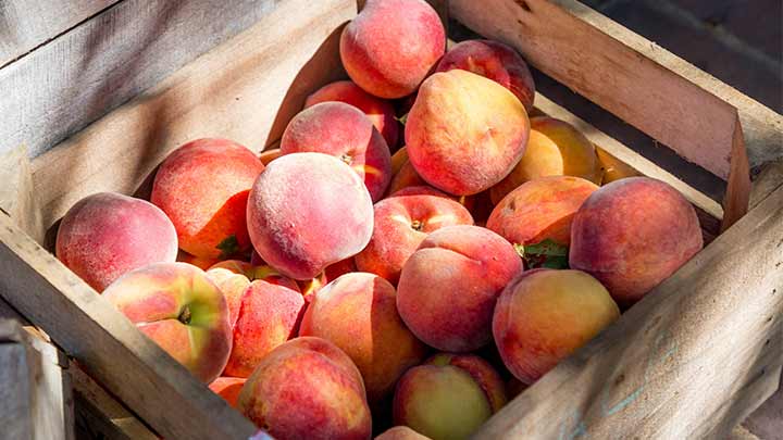 ۹ مورد از مهم‌ترین خواص هلو برای سلامت بدن را بدانید!