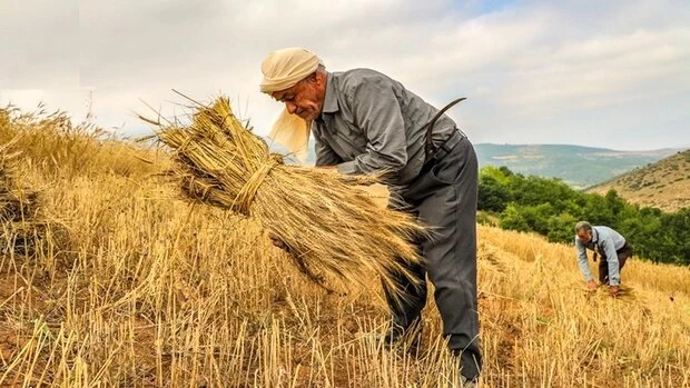 روز جهانی کشاورز چه روزی است ؟