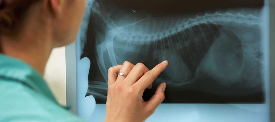 لیست آدرس و تلفن مراکز رادیولوژی و سونوگرافی در شهر بندرعباس
