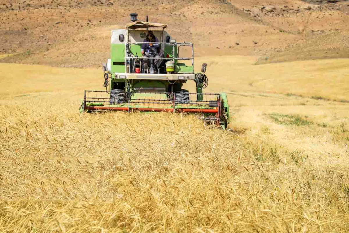 لیست وزارت جهاد کشاورزی در بوشهر + آدرس و تلفن